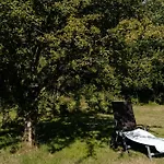 Birdsong In Courtyard And Garden For Kids * Ebeltoft