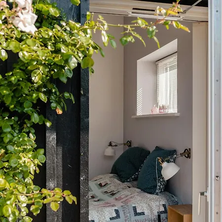 Birdsong In Courtyard And Garden For Kids Casa vacanze *