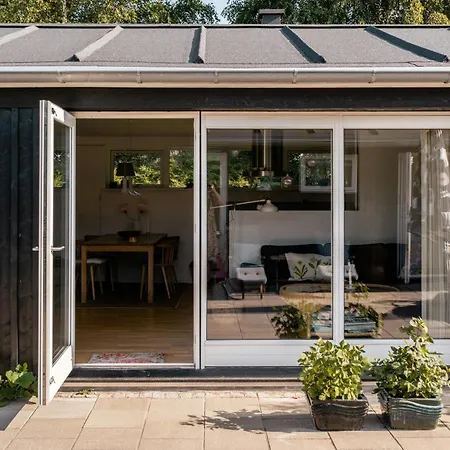 Birdsong In Courtyard And Garden For Kids Hébergement de vacances