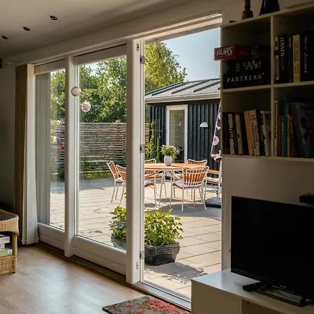 Birdsong In Courtyard And Garden For Kids