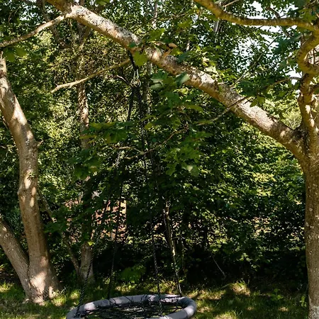 Birdsong In Courtyard And Garden For Kids Ebeltoft