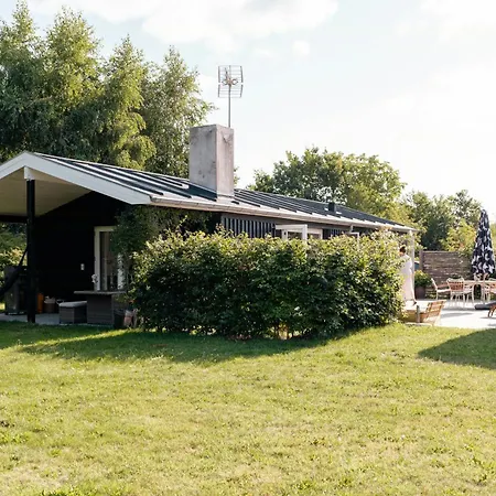 Birdsong In Courtyard And Garden For Kids