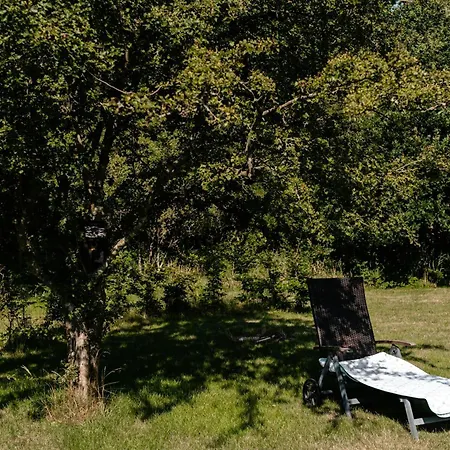 Birdsong In Courtyard And Garden For Kids * Ebeltoft