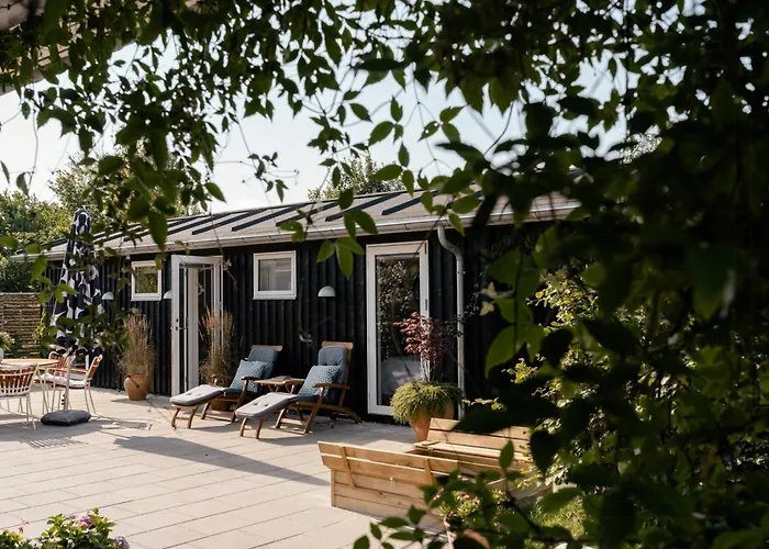 Birdsong In Courtyard And Garden For Kids