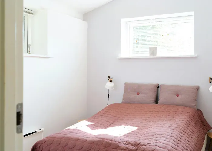 Birdsong In Courtyard And Garden For Kids