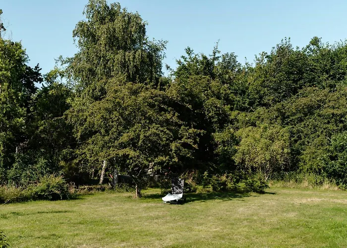 Birdsong In Courtyard And Garden For Kids Hébergement de vacances Ebeltoft