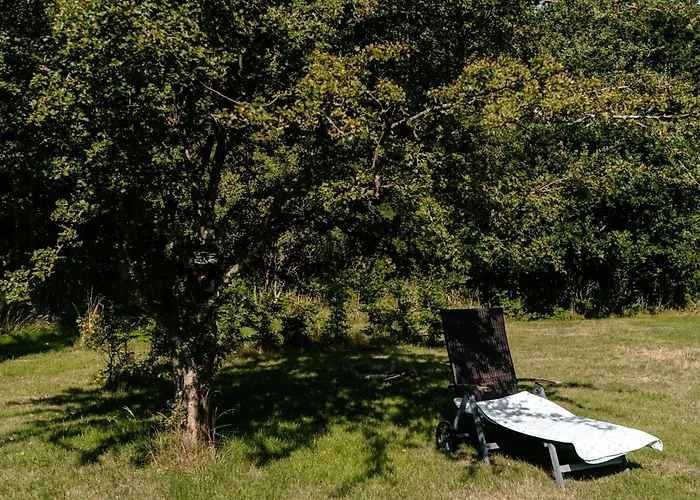 Birdsong In Courtyard And Garden For Kids * Ebeltoft